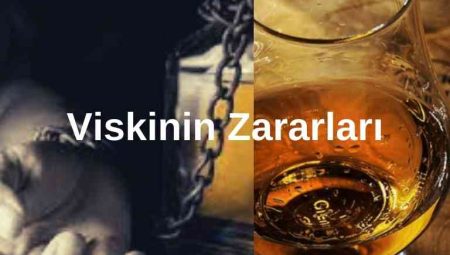 Viskinin Zararları 1 Viskinin Zararları