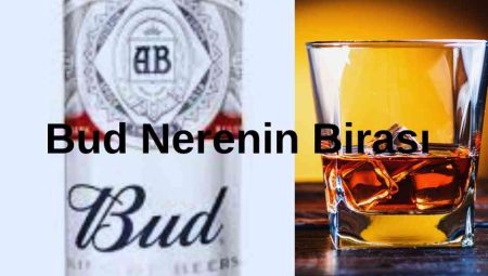 Bud Nerenin Birası